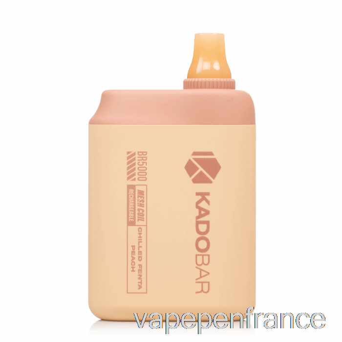 Kado Bar Br5000 Stylo Vape Pêche Feta Réfrigéré Jetable